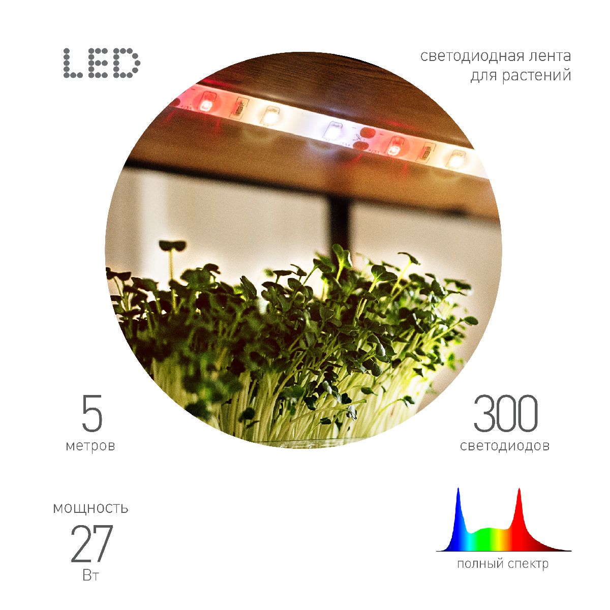 Светодиодная лента для растений Эра FITO-Strip Light-Rа90-300LED-5m-12V-IP65 4000K Б0064591 в Санкт-Петербурге