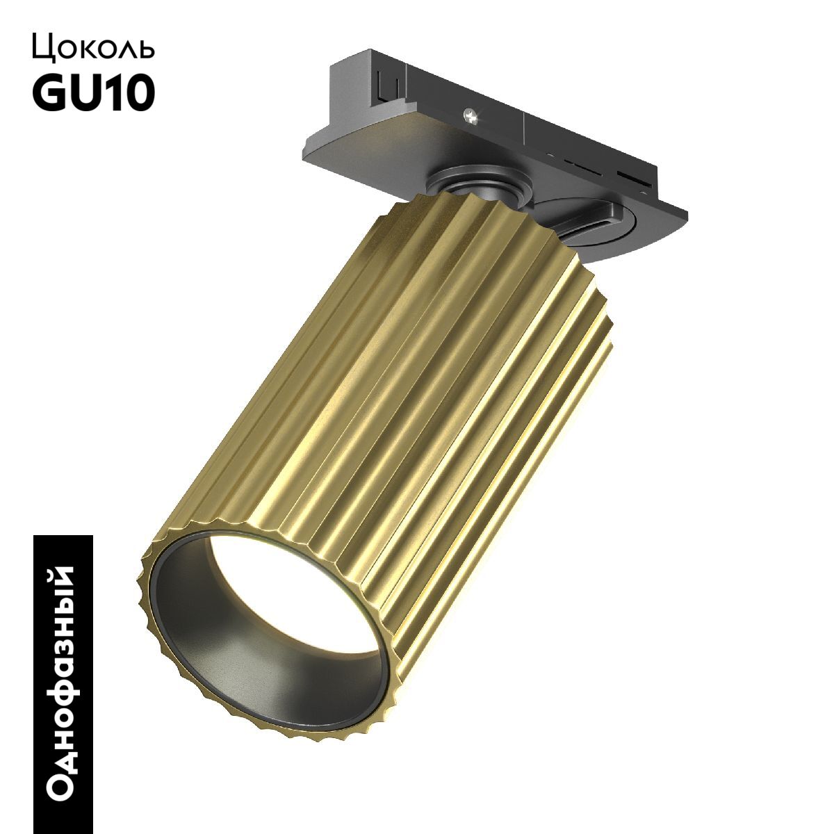 Трековый однофазный светильник Maytoni Calipso TR218-1-GU10-BS в Санкт-Петербурге