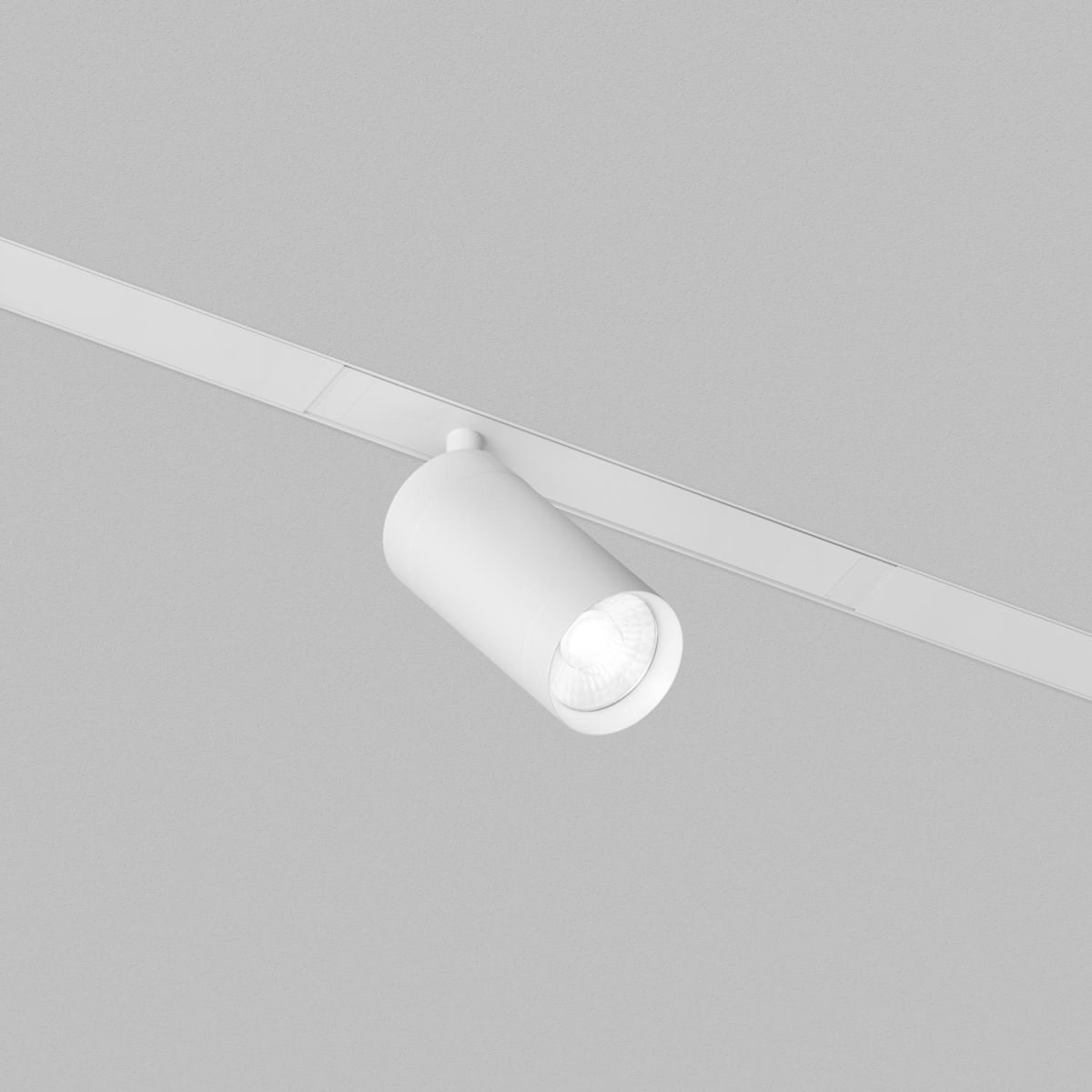 Трековый однофазный светильник Denkirs Simple Spot DK8210-WH в Санкт-Петербурге