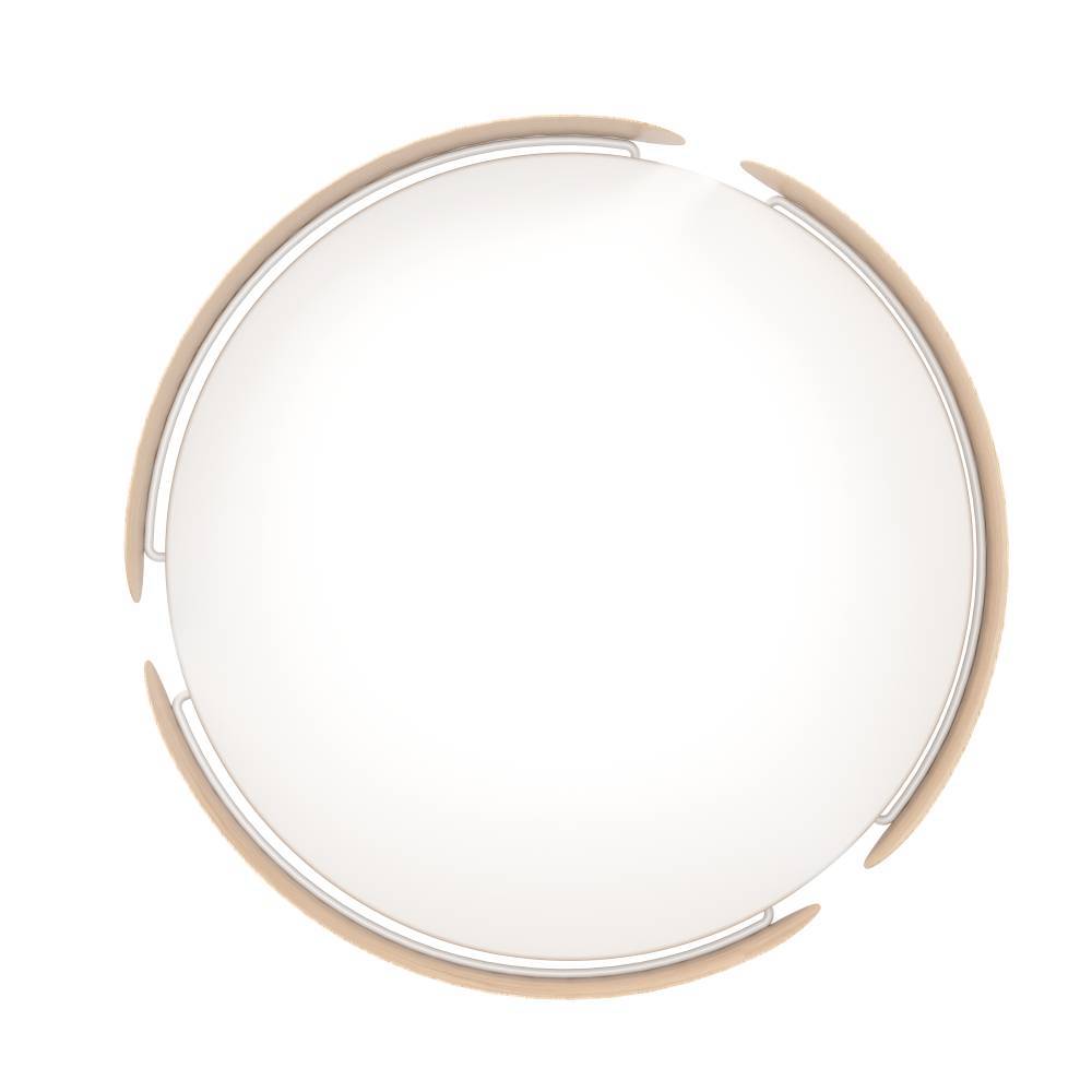 Настенно-потолочный Eglo Valcasotto 901827 в Санкт-Петербурге