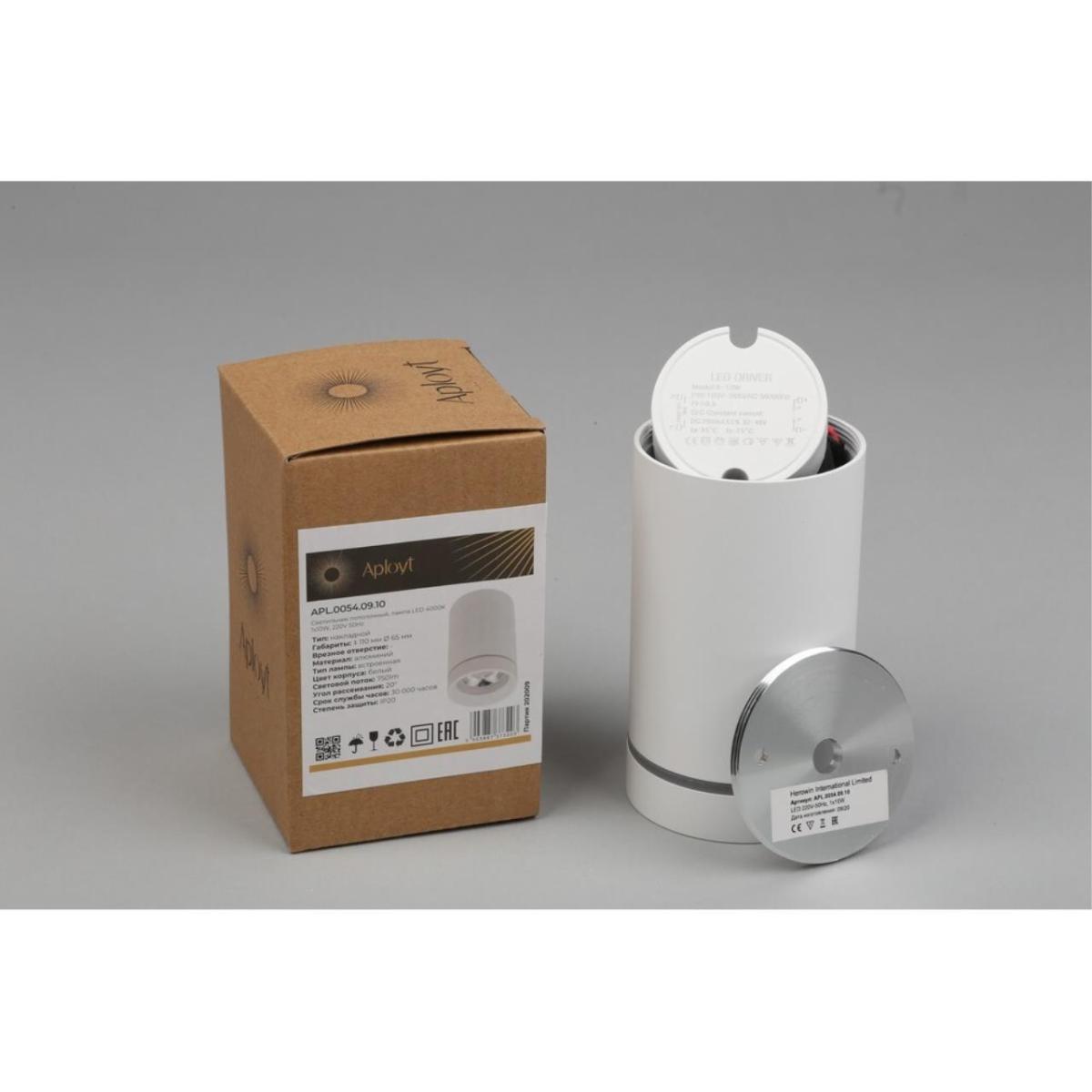 Потолочный светильник Aployt Edda APL.0054.09.10 в Санкт-Петербурге