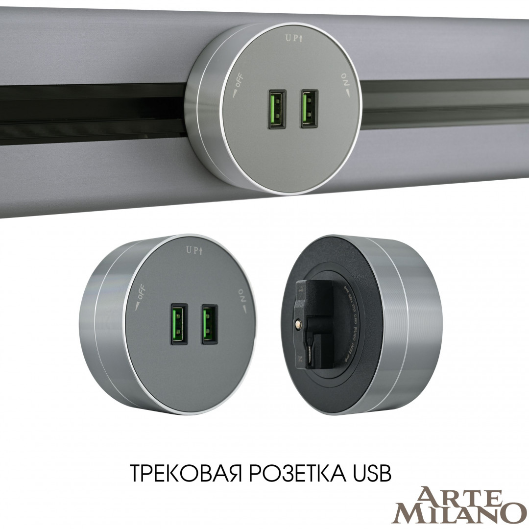 Трековая розетка Arte Milano Am-track-sockets 380011TS/USBx2 Grey в Санкт-Петербурге