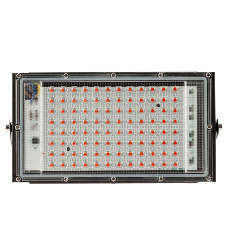 Фитопрожектор для растений Эра FITO-80W-RB-LED-Y Б0053082 в Санкт-Петербурге