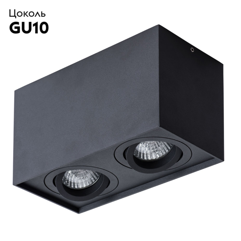 Потолочный светильник Arte Lamp Factor A5544PL-2BK в #REGION_NAME_DECLINE_PP#