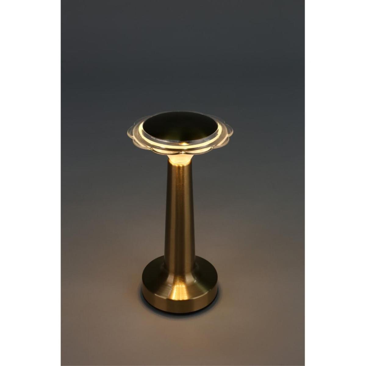 Настольная лампа Omnilux OML-40204-01 в Санкт-Петербурге