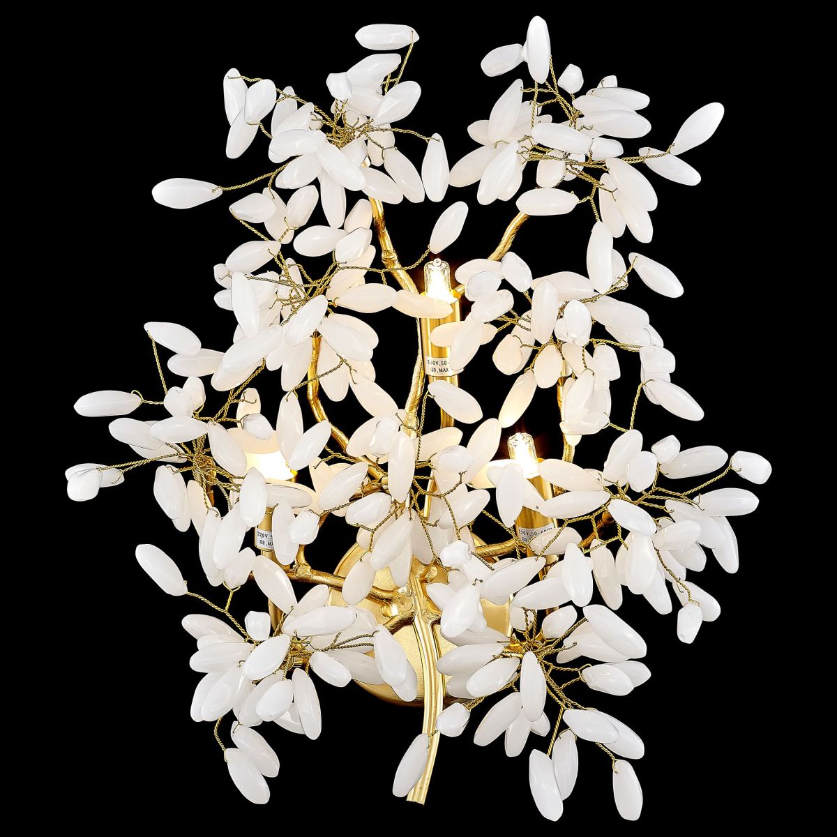 Настенный светильник Wertmark Dorothy WE193.03.401 в Санкт-Петербурге