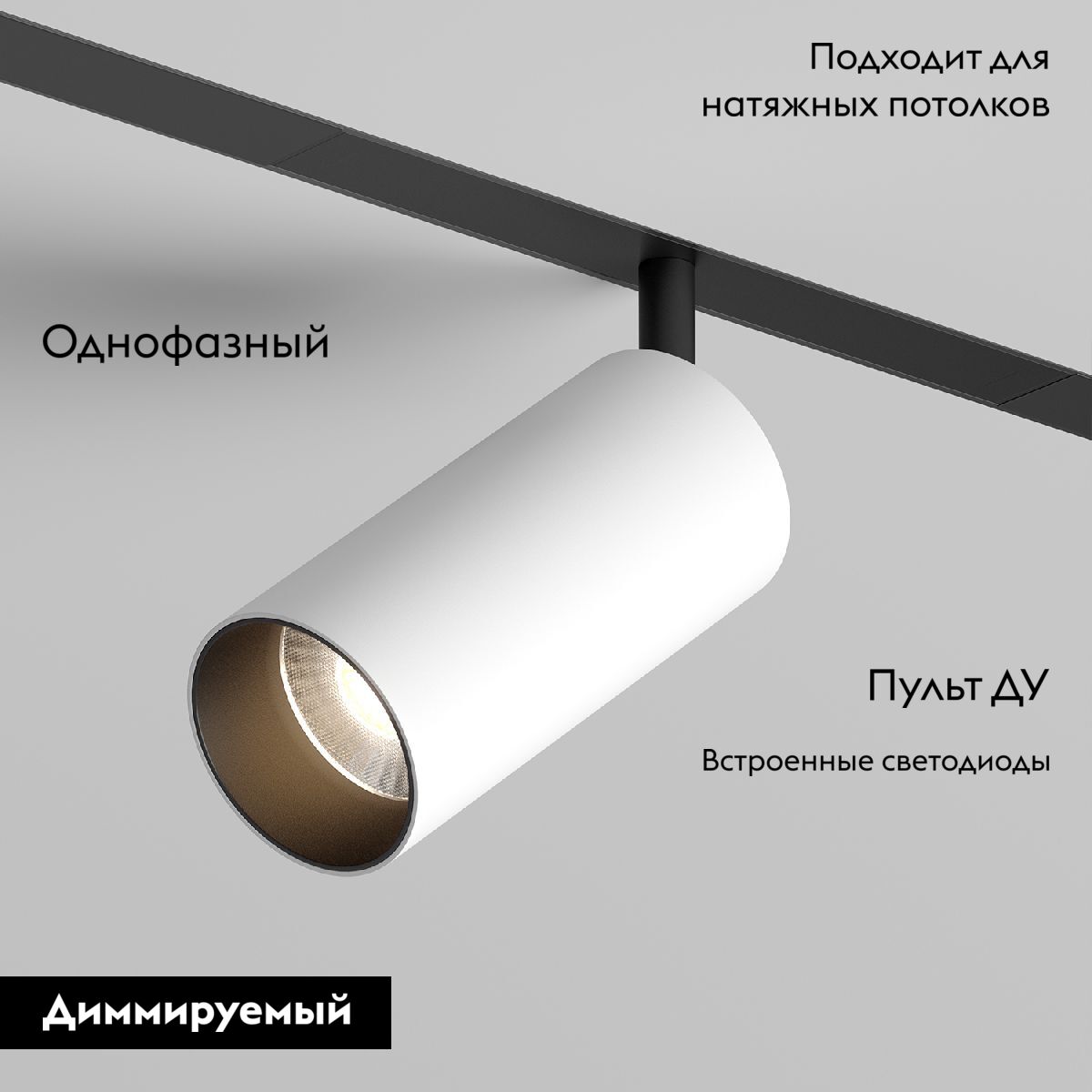 Трековый однофазный светильник Denkirs Smart Spot DK8041-BW+BK в Санкт-Петербурге