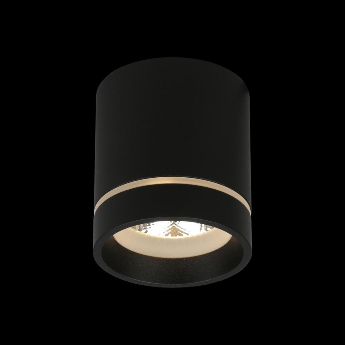 Потолочный светильник Aployt Gita APL.0043.19.05 в Санкт-Петербурге