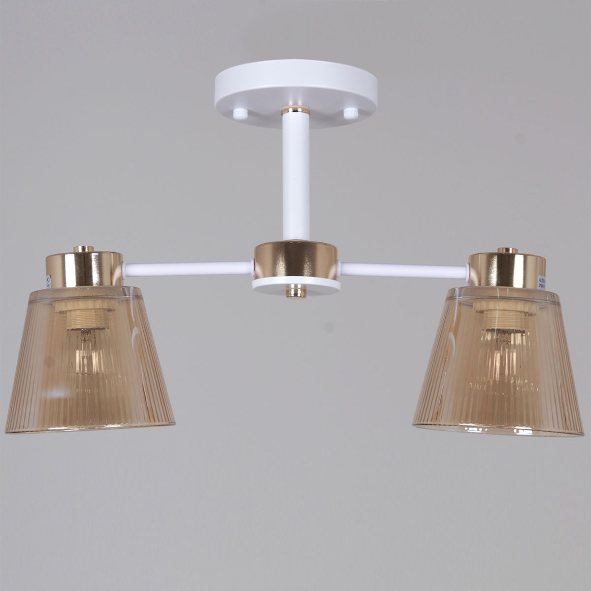 Потолочный светильник Reluce 20560-0.3-02 WH+FG в Санкт-Петербурге