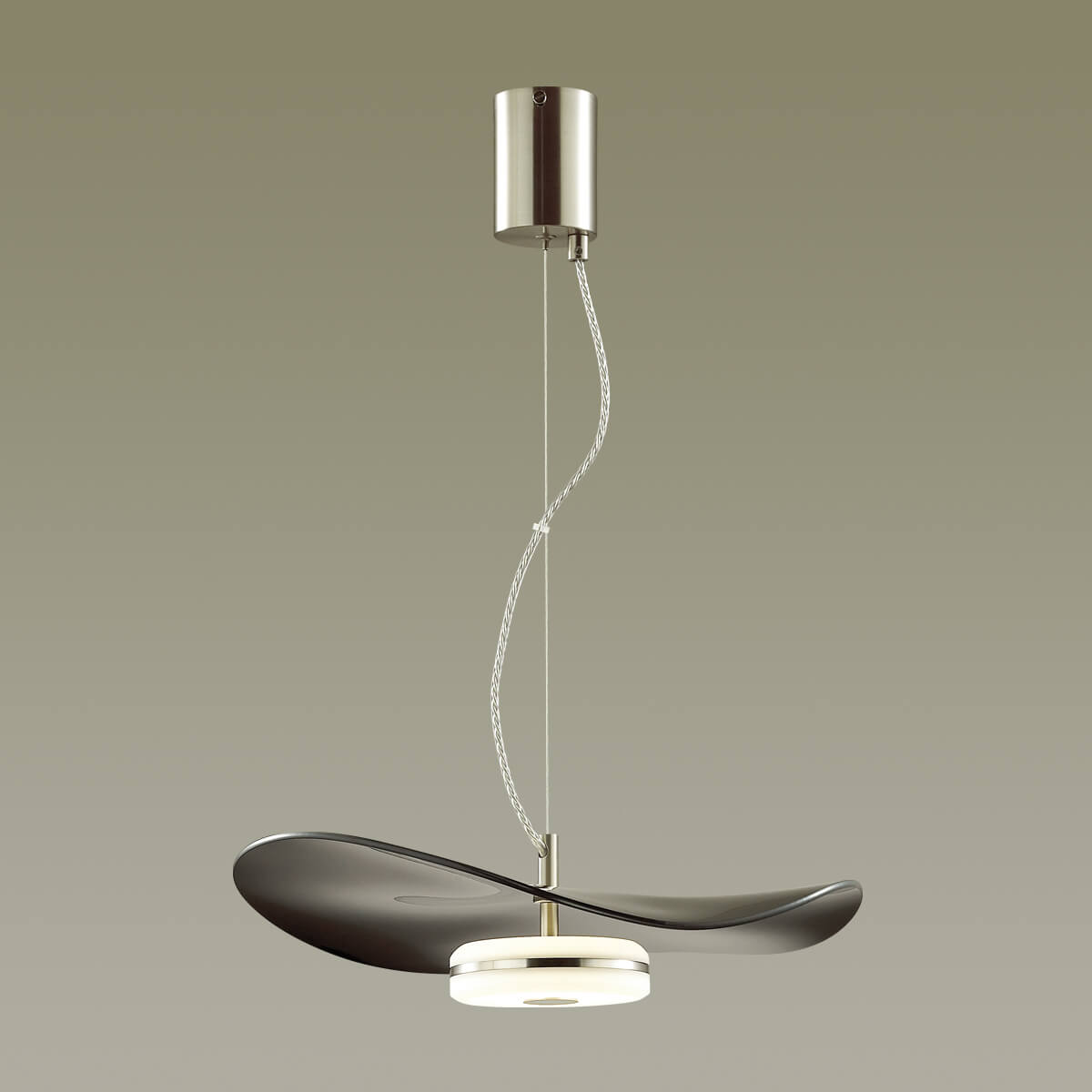 Подвесной светильник Odeon Light FLUENT 4859/13L в Санкт-Петербурге