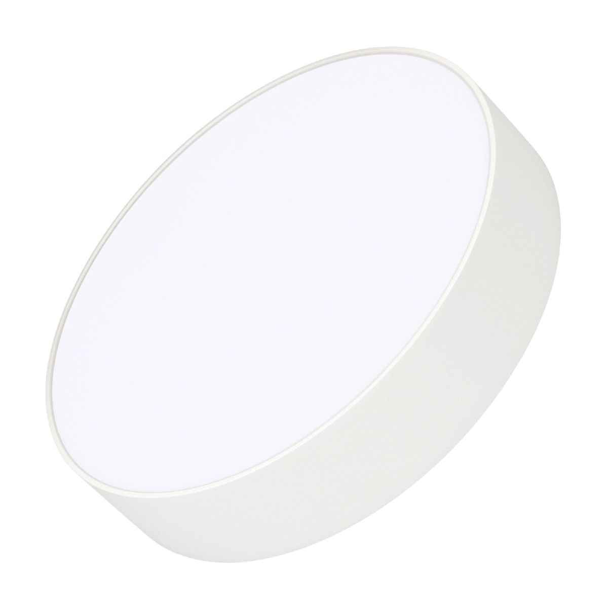 Потолочный светильник Arlight IM-RONDO-EMERGENCY-3H-R250-33W Day4000 (WH, 120 deg, 230V) 041061 в Санкт-Петербурге