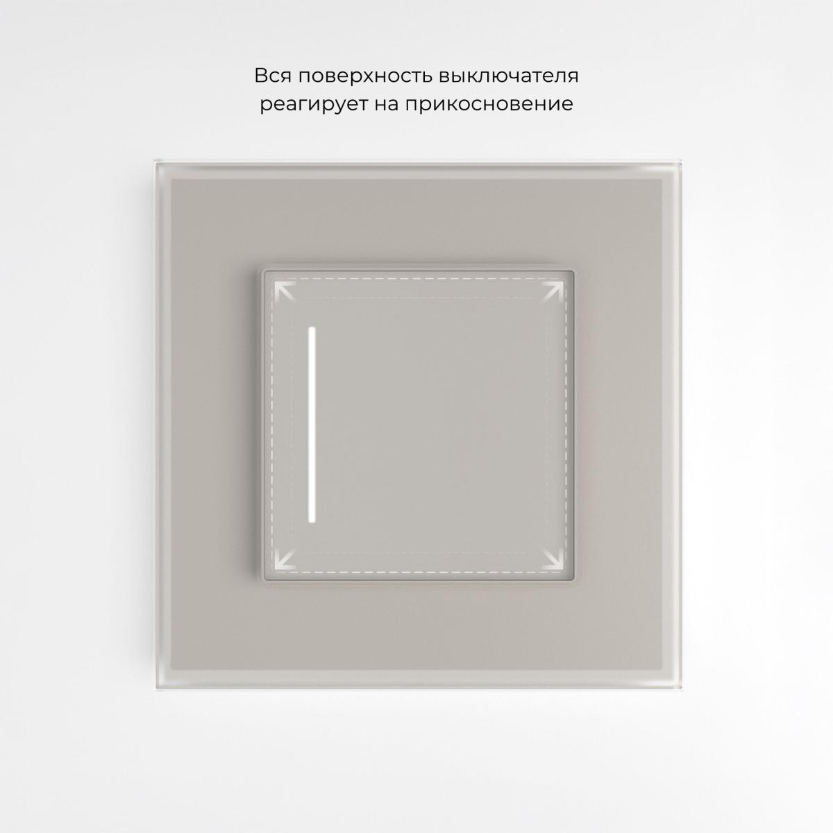 Выключатель сенсорный одноклавишный с подсветкой Werkel W4512014 4690389213854 a069762 в Санкт-Петербурге