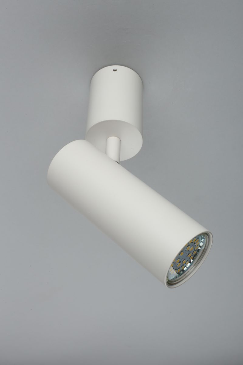 Настенно-потолочный светильник Aployt Berenis APL.007.02.01 в #REGION_NAME_DECLINE_PP#