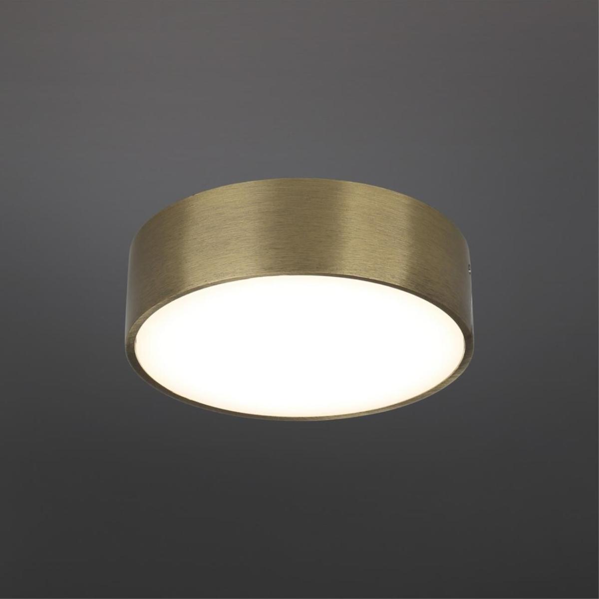 Потолочный светильник Aployt Evon APL.0114.29.12 в Санкт-Петербурге