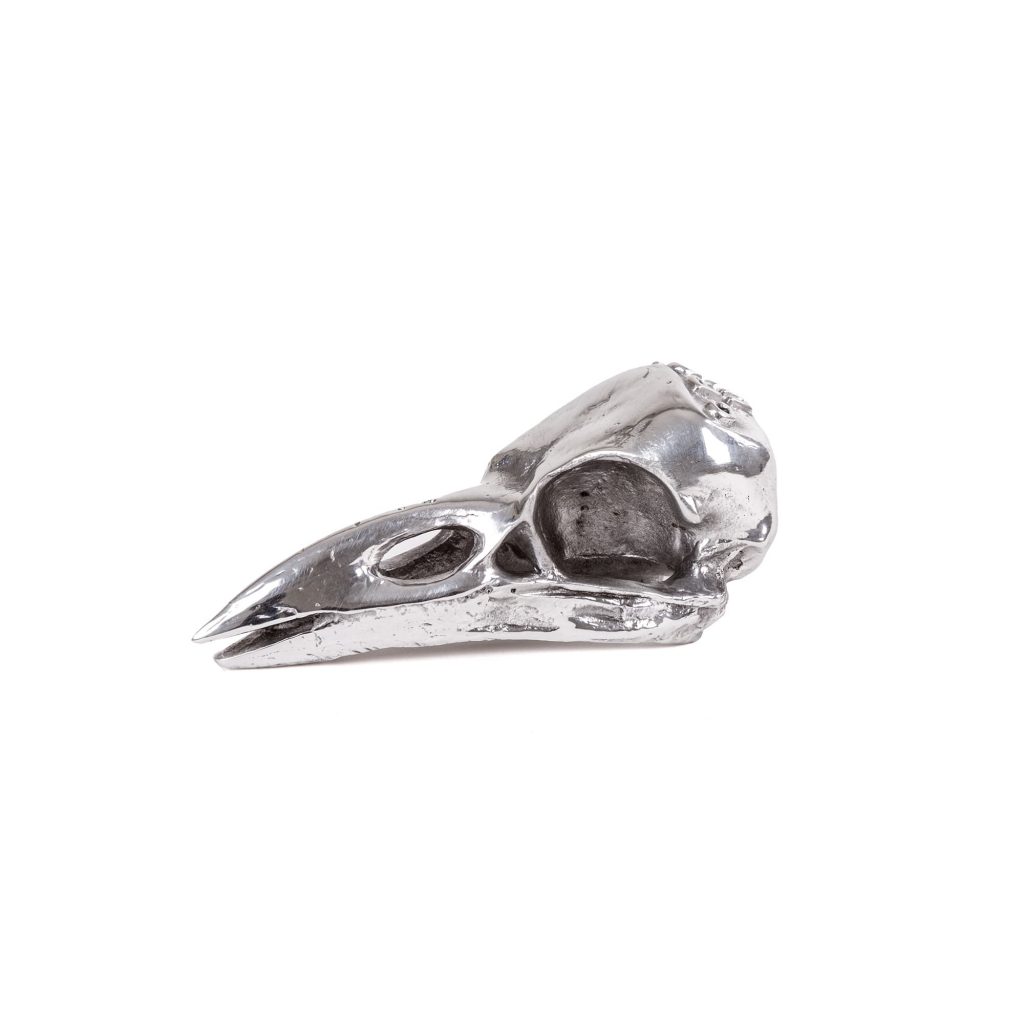 Статуэтка Bird Skull Seletti Wunderkammer 10895 в Санкт-Петербурге