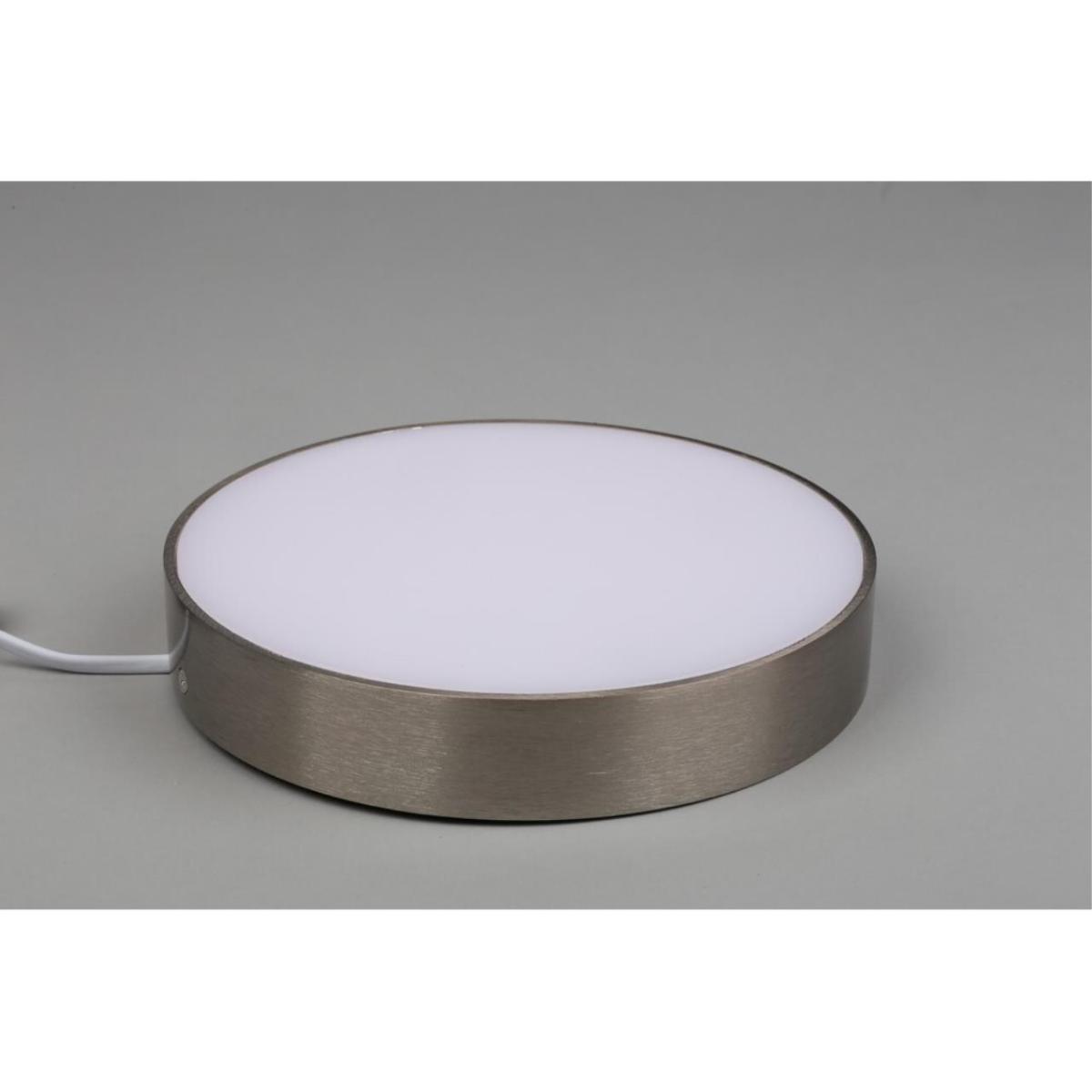 Потолочный светильник Aployt Evon APL.0114.19.24 в Санкт-Петербурге