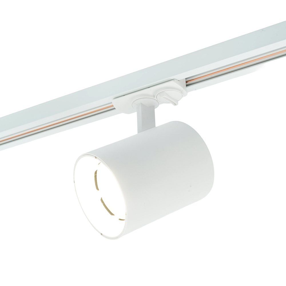 Трековый однофазный светильник Feron AL169 51849 в Санкт-Петербурге