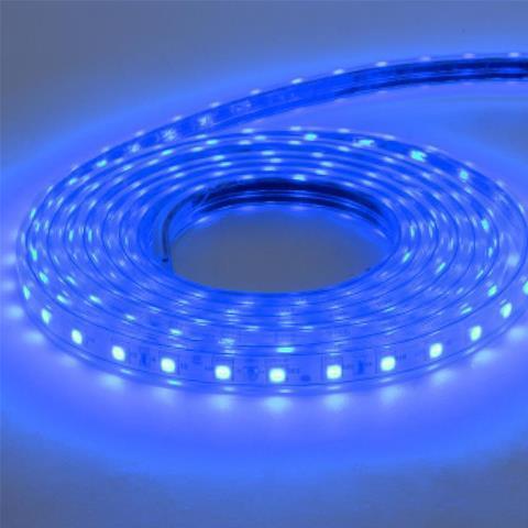 Светодиодная влагозащищенная лента Horoz 6W/m 60LED/m 5050SMD синий 50M 081-004-0001 (HL543L) HRZ00001188 в Санкт-Петербурге