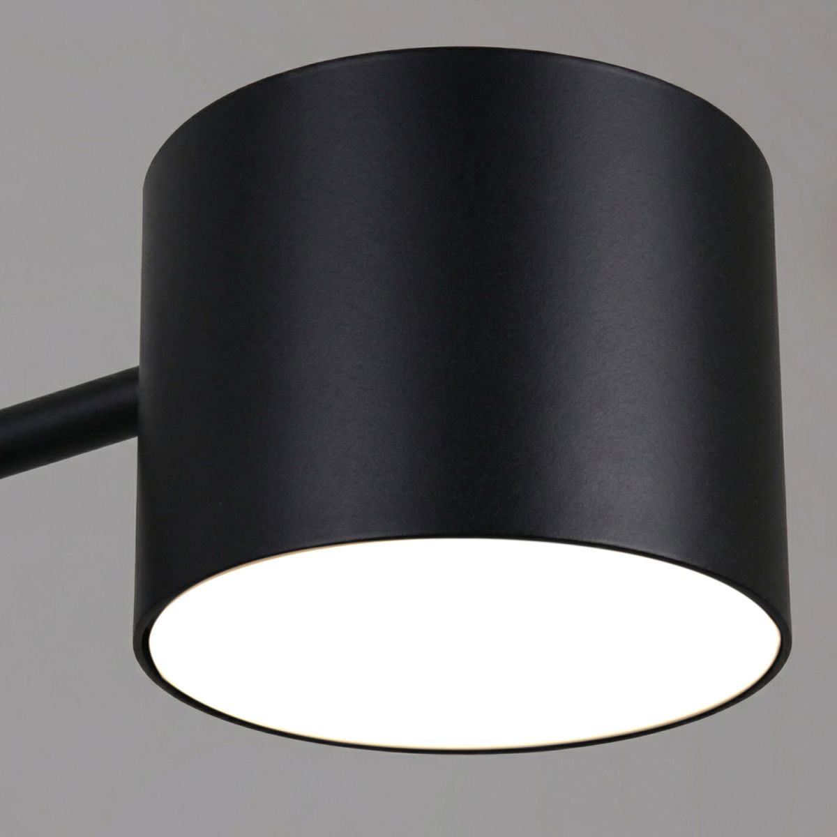 Люстра на штанге Reluce 47206-0.3-06BK в Санкт-Петербурге