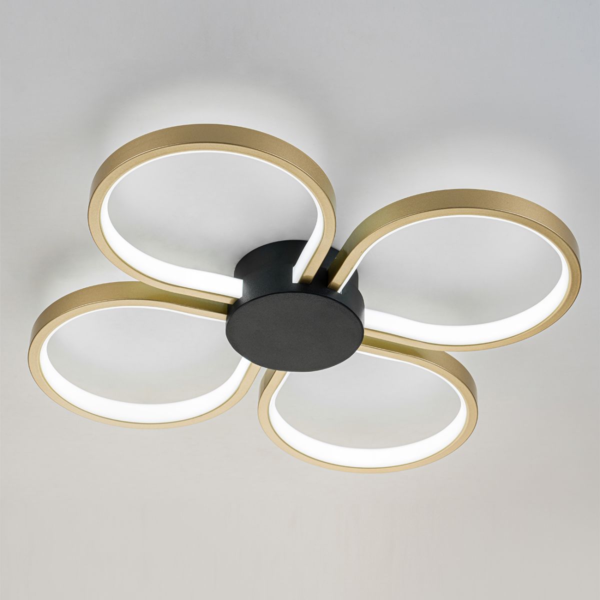 Потолочный светильник Escada Clover 10243/4LED в Санкт-Петербурге