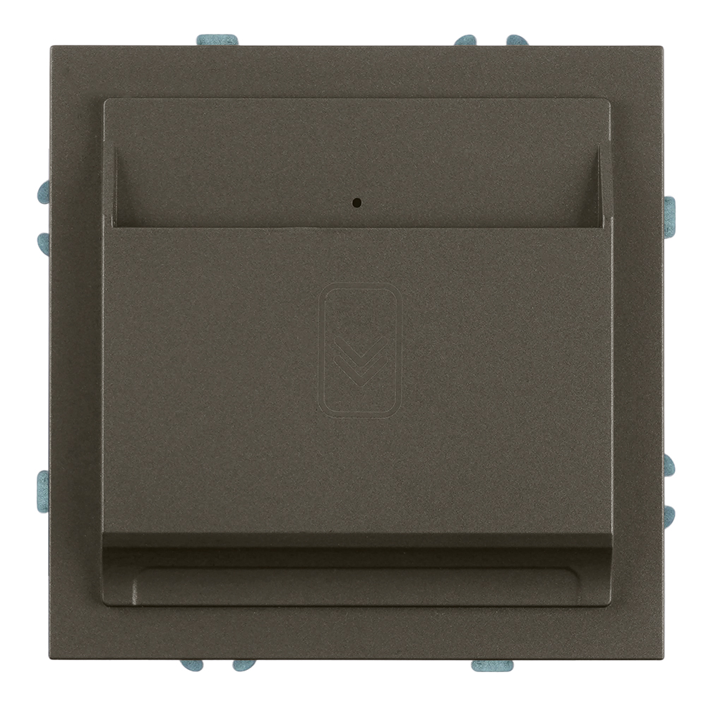 Выключатель карточный Stekker Эмили RSW40-5114-09 антрацит, soft touch 50701 в #REGION_NAME_DECLINE_PP#