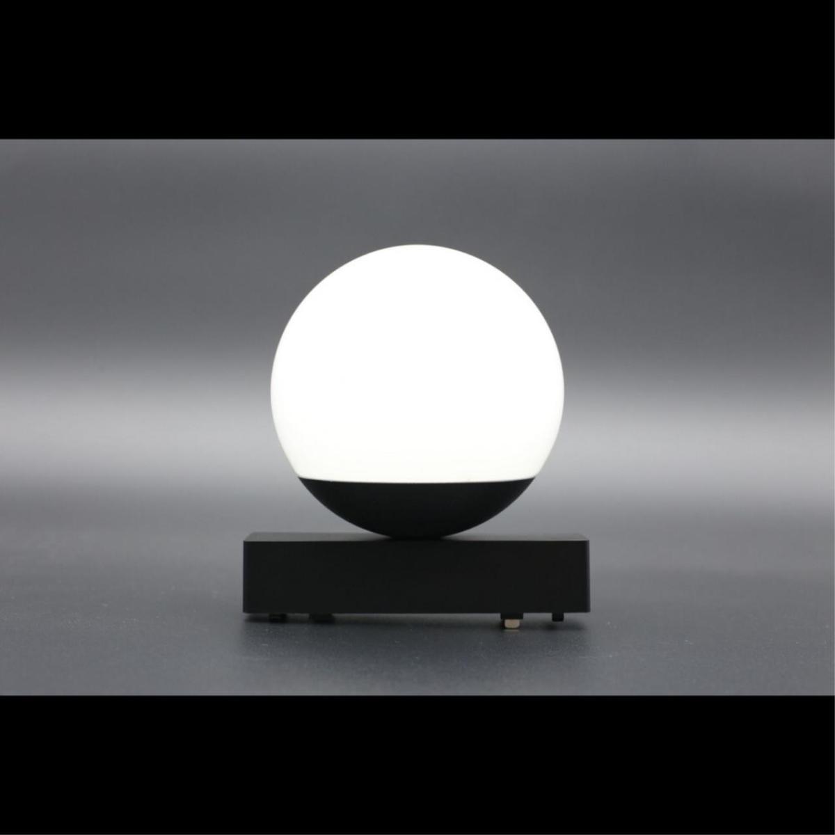 Трековый магнитный светильник Aployt Magnetic track 48 APL.0130.00.06 в Санкт-Петербурге