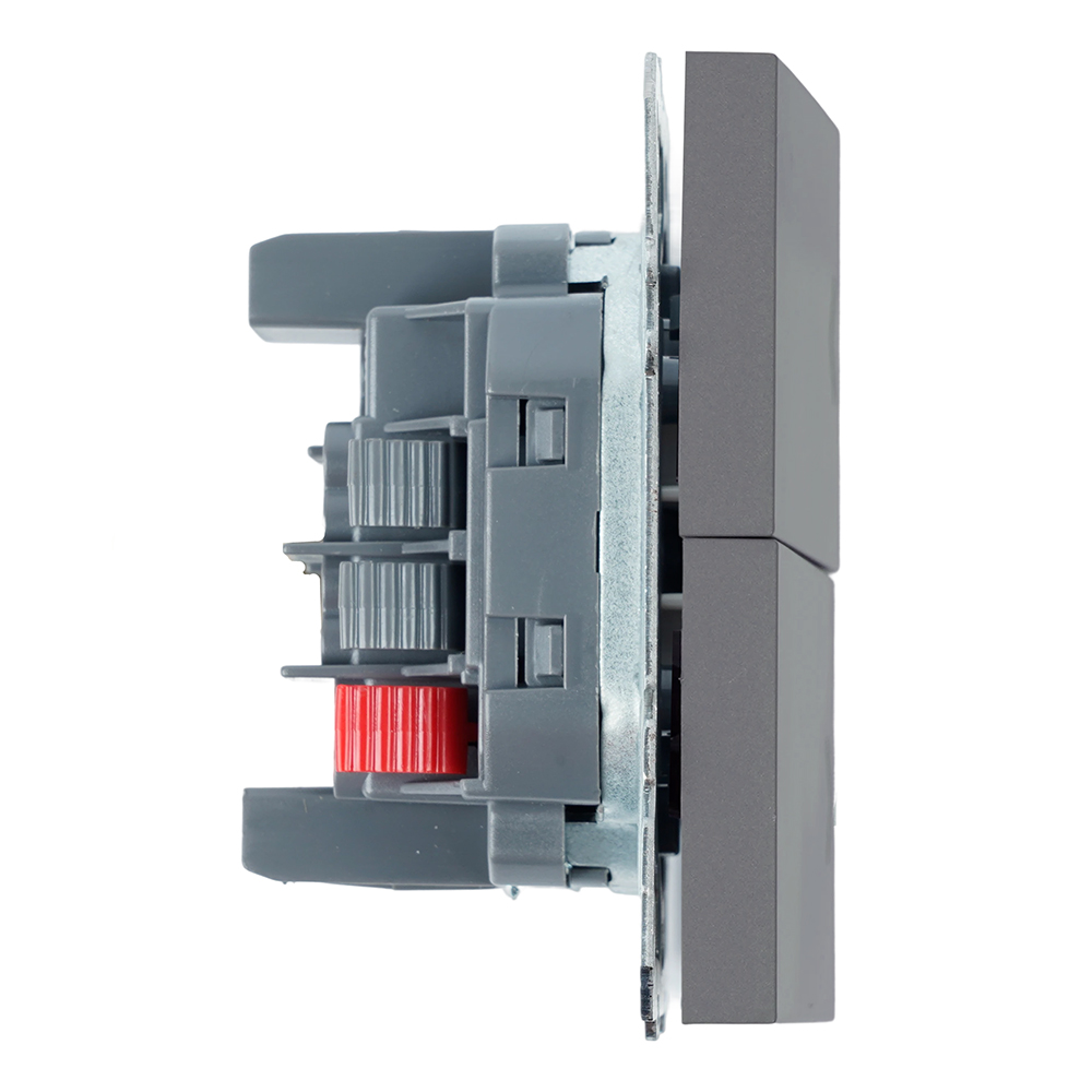 Переключатель 2-клавишный (механизм) СЗК Stekker Эмили 250В 10А RSW10-5107-10ZK платиново-серый soft touch 50241 в Санкт-Петербурге