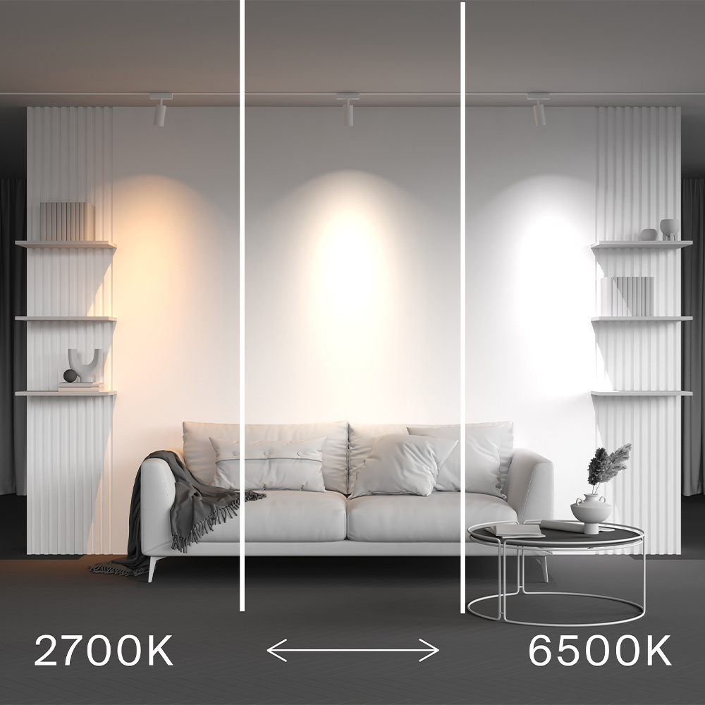 Трековый магнитный светильник Maytoni Technical Focus Led Radity TR103-4-12WTW-M-W в Санкт-Петербурге