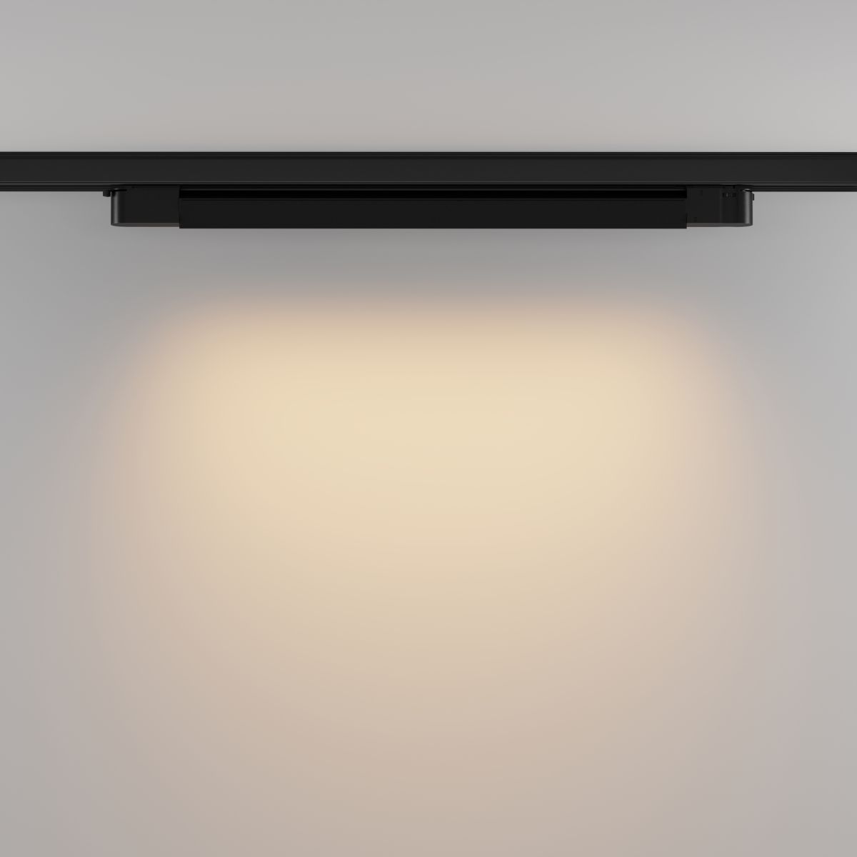 Трековый трехфазный светильник Maytoni Technical Basis TR196-3-20W2.7K-B(N) в Санкт-Петербурге
