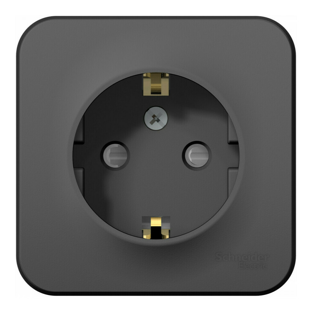 Розетка с/з со шторками, 16А, 250В Systeme Electric Blanca наруж Антрацит BLNRA011106 в #REGION_NAME_DECLINE_PP#