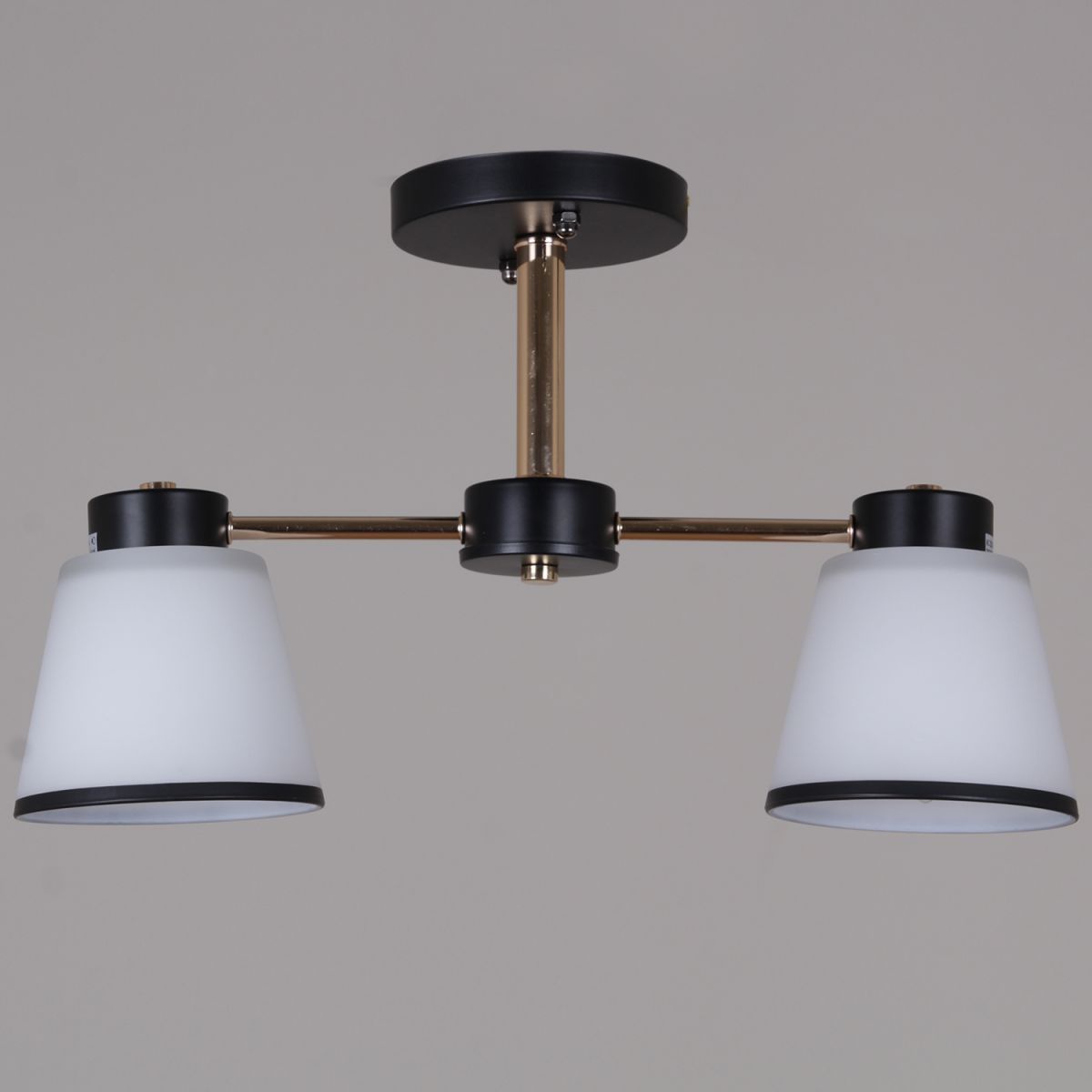 Потолочный светильник Reluce 30560-0.3-02 BK+FG в #REGION_NAME_DECLINE_PP#