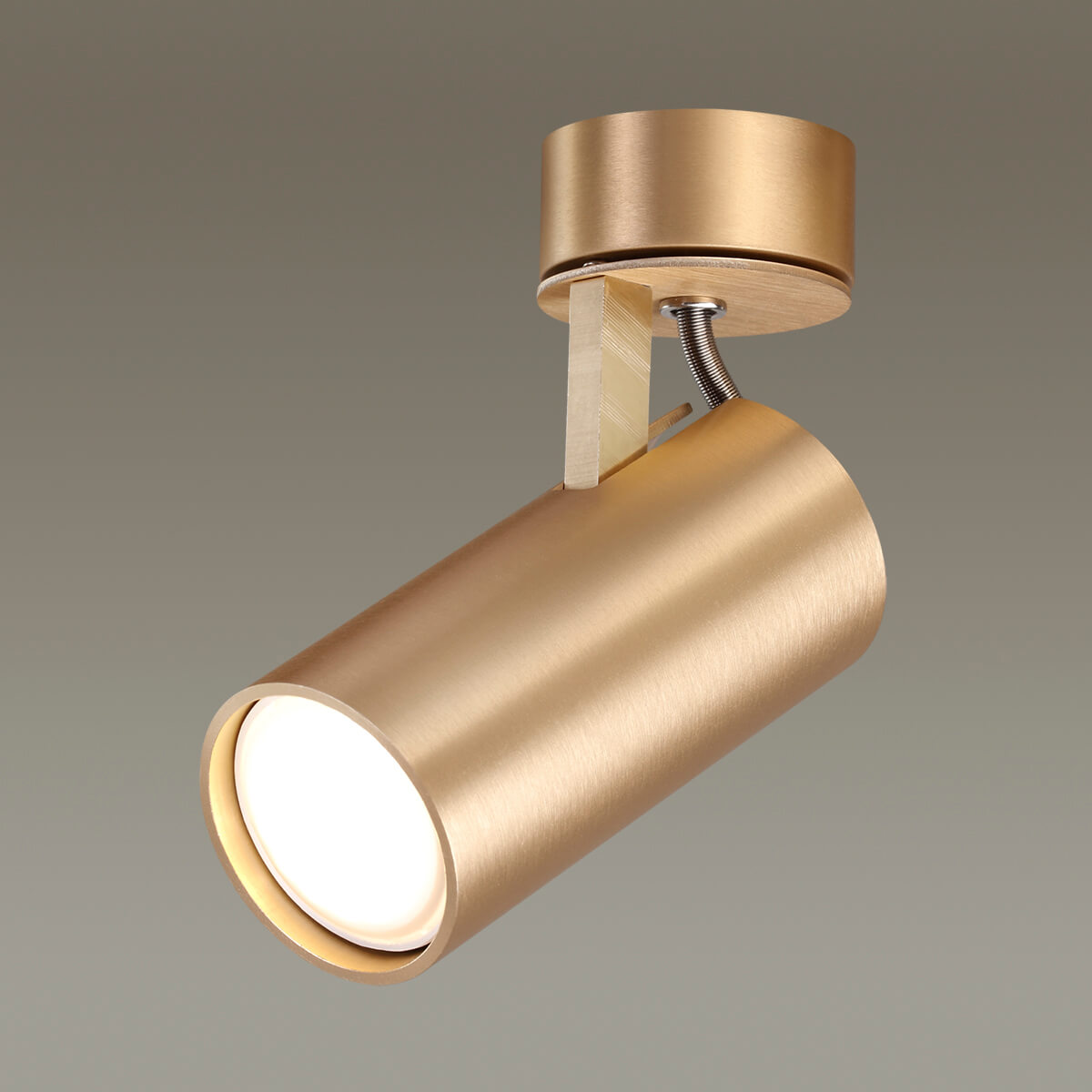 Спот Odeon Light Corse 3876/1C в Санкт-Петербурге