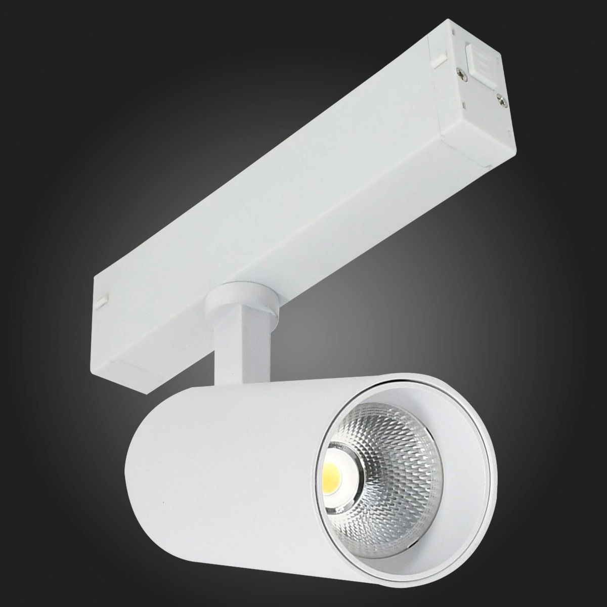 Трековый светильник ST Luce Skyline 220 Smart ST660.596.10H в Санкт-Петербурге