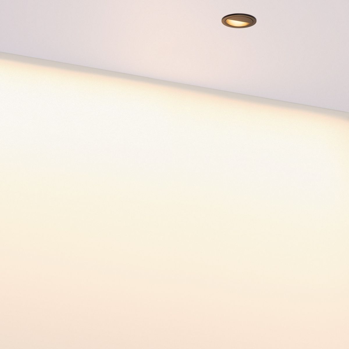 Встраиваемый светильник Arlight DL-VEILA-R63-8W Warm3000 (Черный RAL9005, A44x46 deg, 230V) (IP20 Металл) 065563 в Санкт-Петербурге