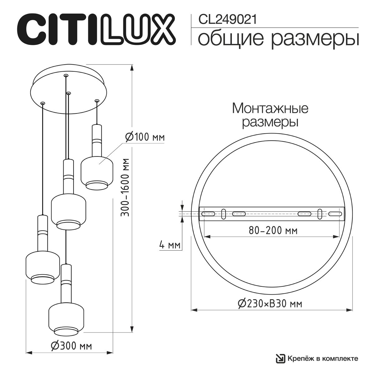 Подвесной светильник Citilux Lass CL249021 в Санкт-Петербурге