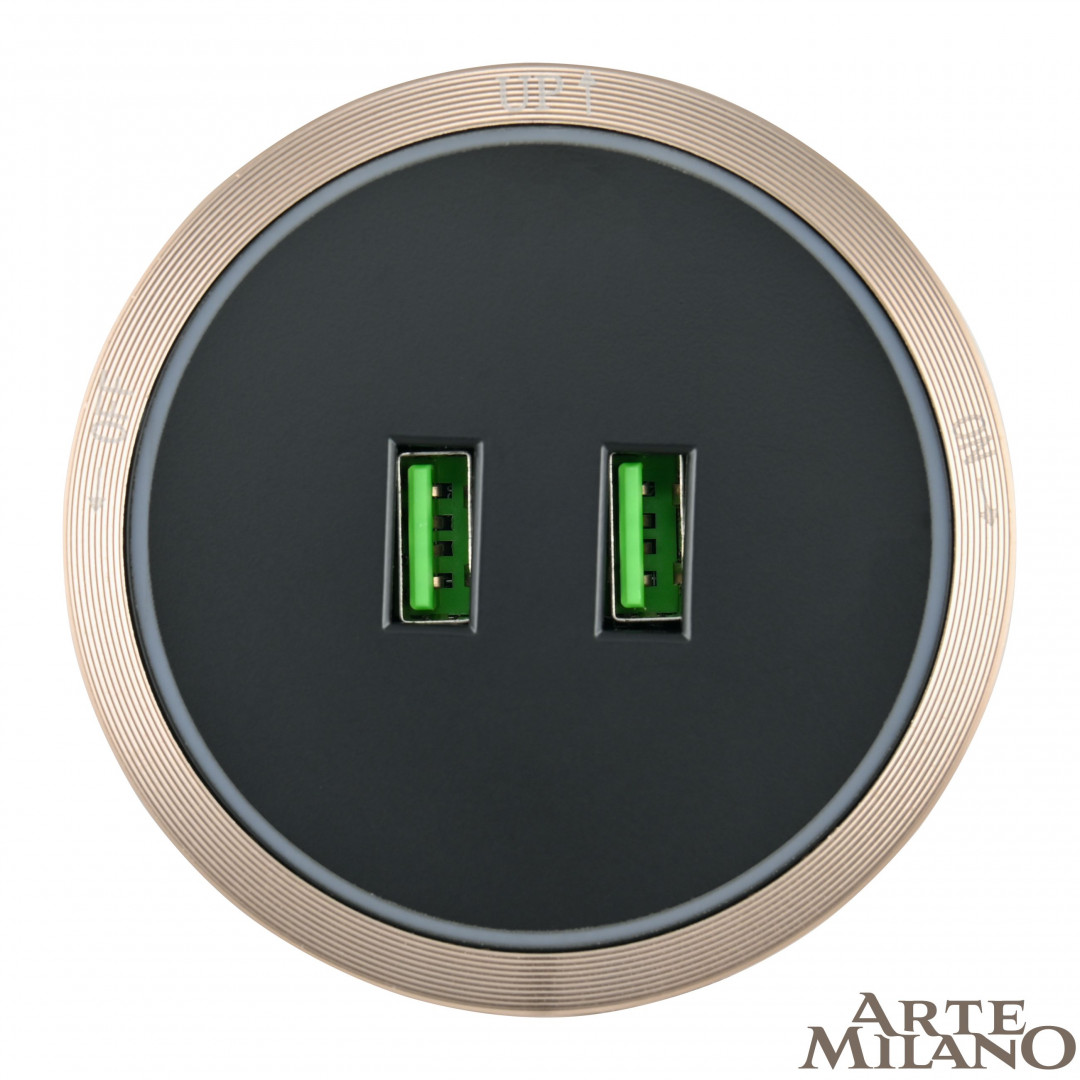 Трековая розетка Arte Milano Am-track-sockets 380066TS LED/USBx2 Gold в Санкт-Петербурге