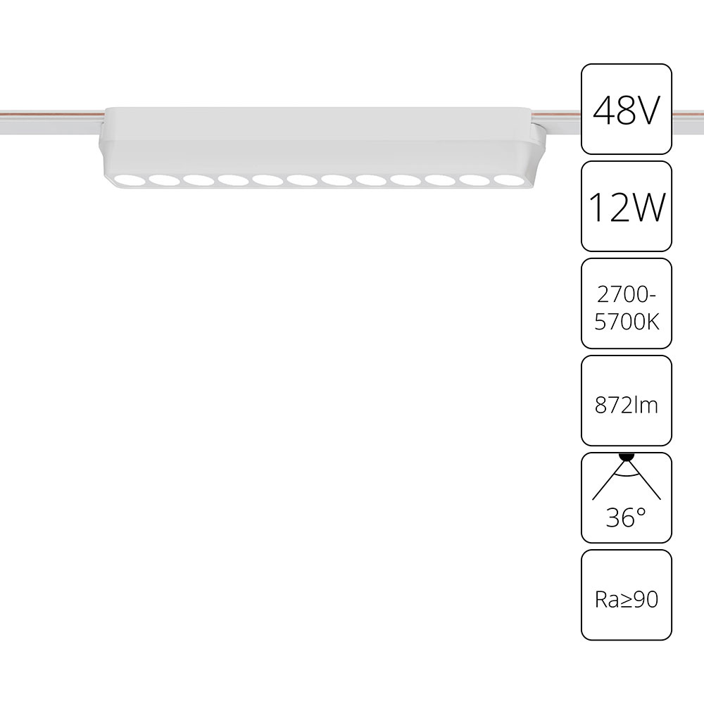 Трековый магнитный светильник Arte Lamp Rapid A2954PL-1WH в Санкт-Петербурге