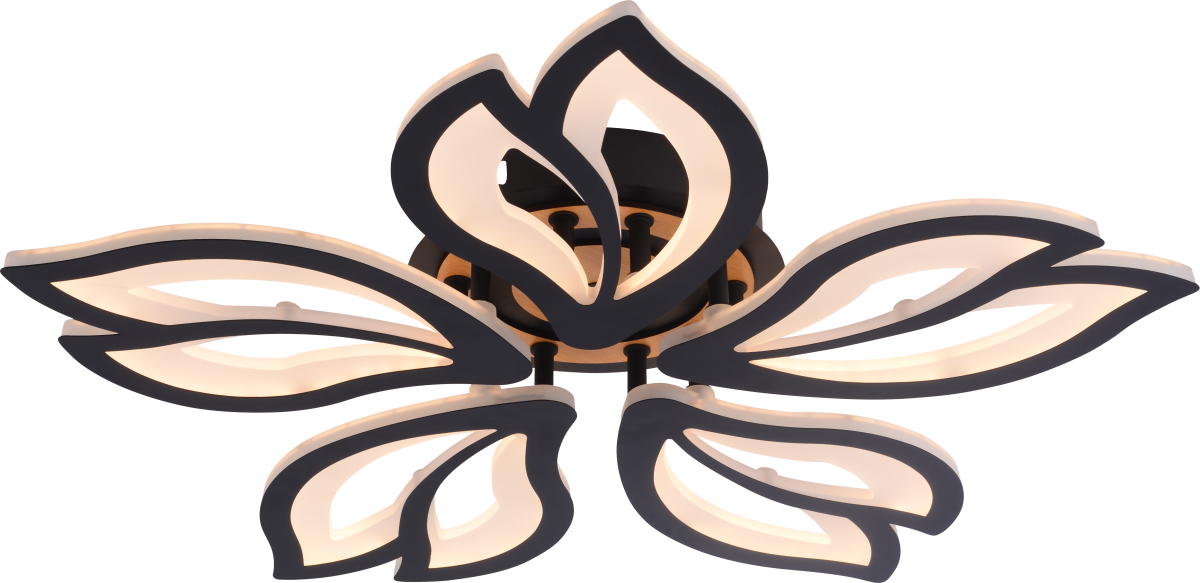 Потолочный светильник Rivoli Lana 6195-733 Б0070143 в Санкт-Петербурге