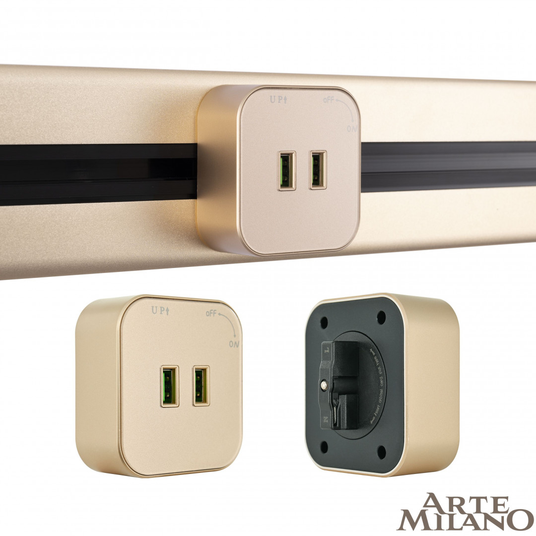 Трековая розетка Arte Milano Am-track-sockets 380022TS/USBx2 Gold в Санкт-Петербурге