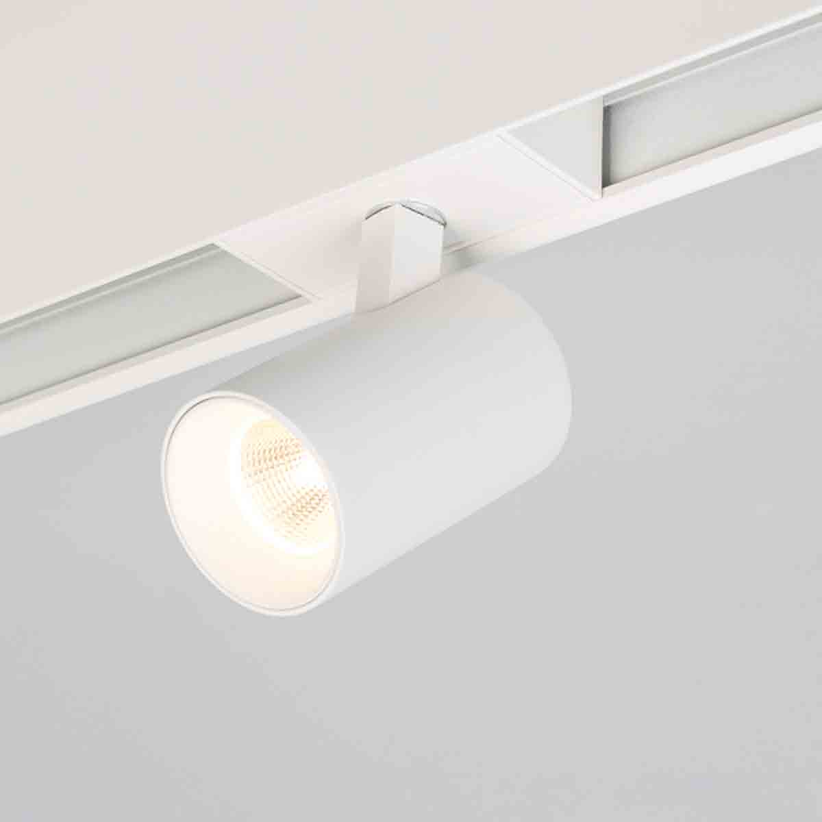 Трековый светильник для магнитного шинопровода Arlight Mag-Spot-45-R85-12W Warm3000 033426 в Санкт-Петербурге