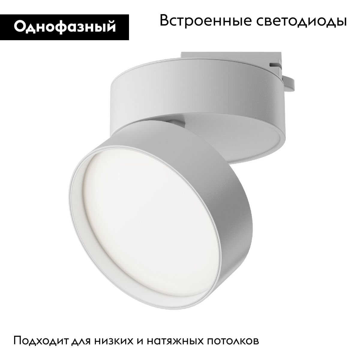 Трековый светильник Maytoni Track lamps TR007-1-18W3K-W4K в #REGION_NAME_DECLINE_PP#