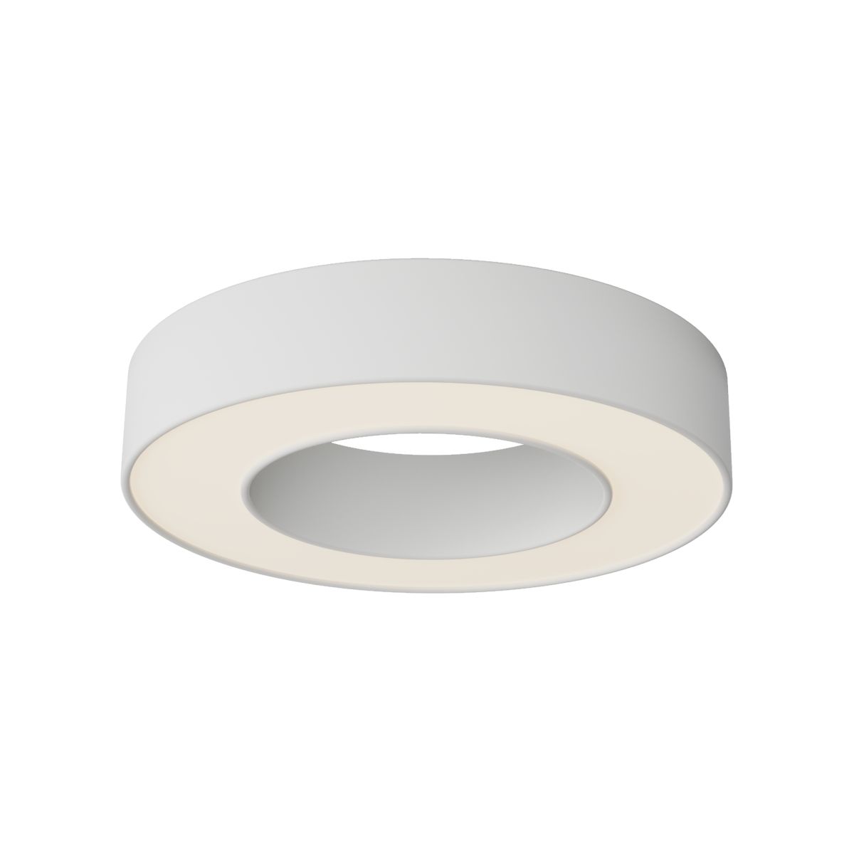 Потолочный светильник Maytoni Technical Lua C093CL-24W3K-W в Санкт-Петербурге