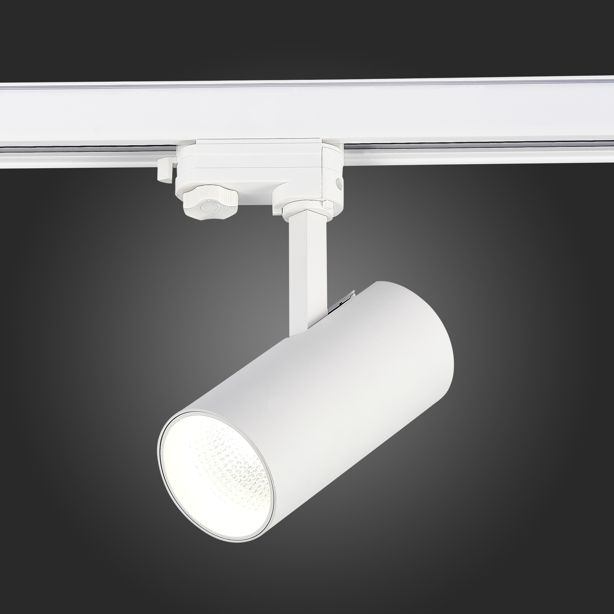 Трековый трехфазный светильник ST Luce ST661.536.20 в Санкт-Петербурге