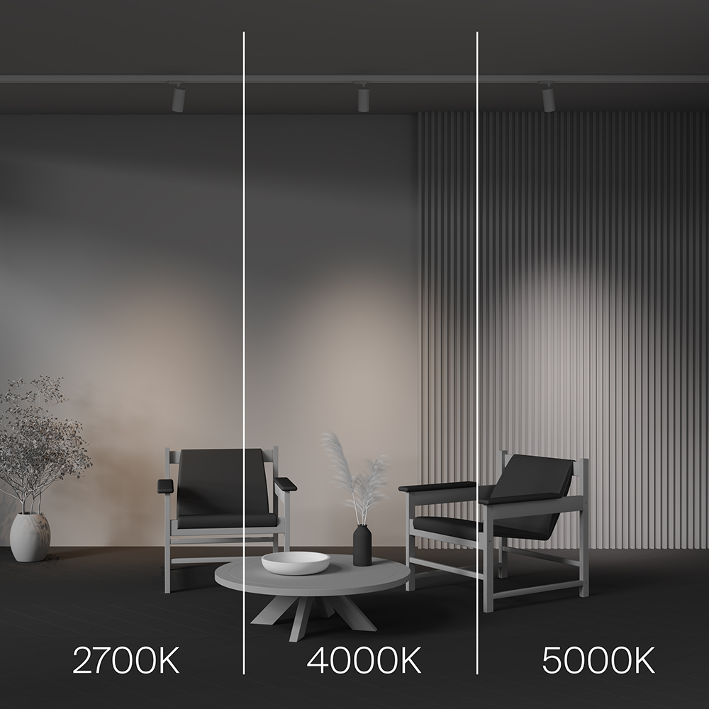 Трековый трехфазный светильник Maytoni Focus Led TR197-3-12WCCT-M-W в Санкт-Петербурге