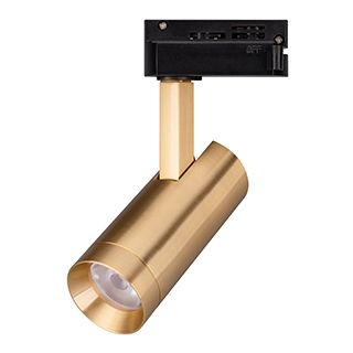 Трековый однофазный светильник Arlight LGD-SPOT-2TR-R45-7W Warm3000 (GD, 24 deg, 230V) 042541 в Санкт-Петербурге
