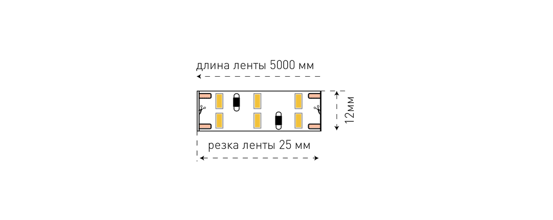 Светодиодная лента SWG SWG4240*2-12-24-W 12В 24Вт/м 6000-6500K 5м IP20 001698 в Санкт-Петербурге