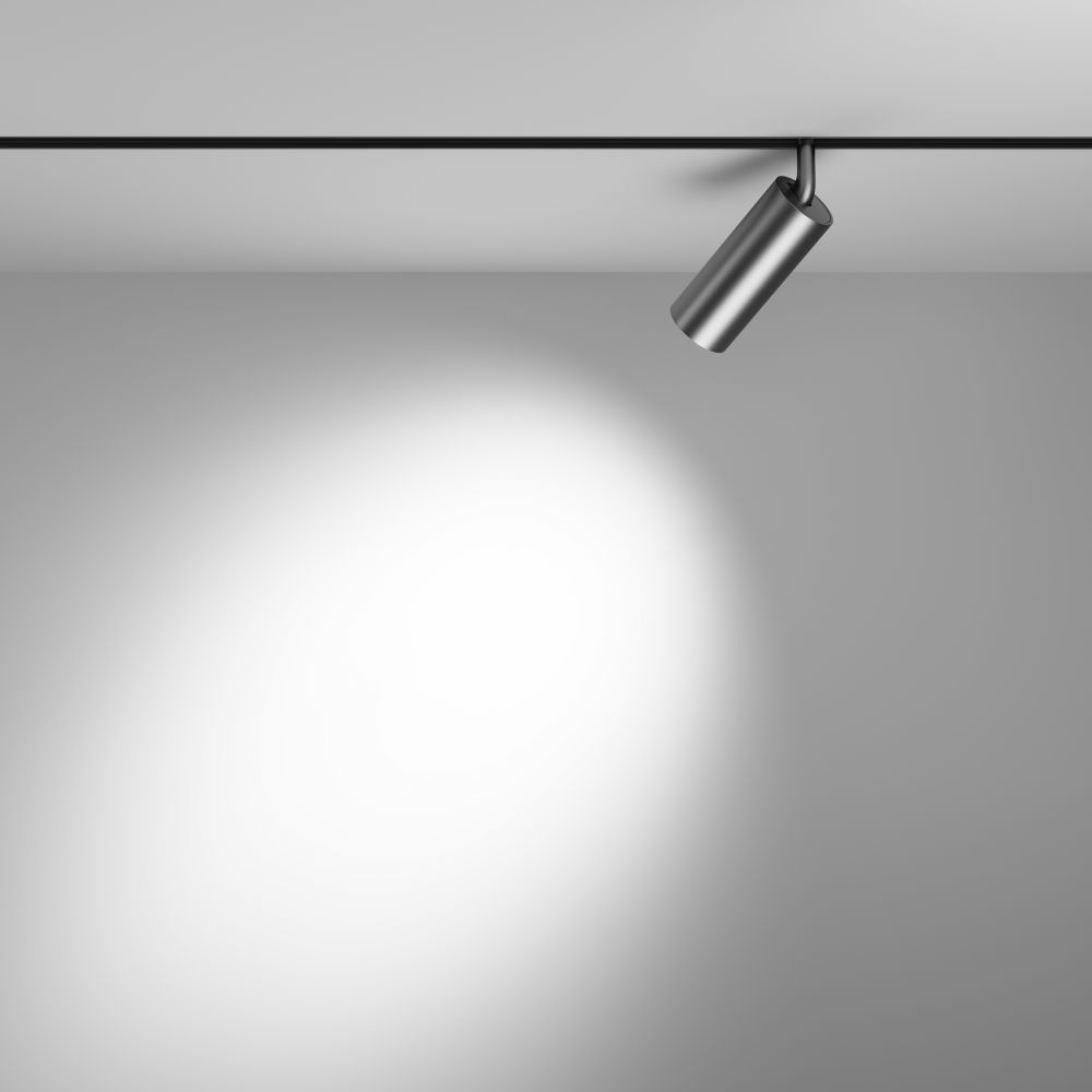 Трековый светильник Maytoni Technical Focus LED TR032-2-12W3K-S-MG в Санкт-Петербурге