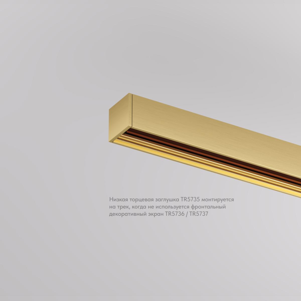 Торцевая заглушка Denkirs SHINE BASE TR5735-SB в Санкт-Петербурге