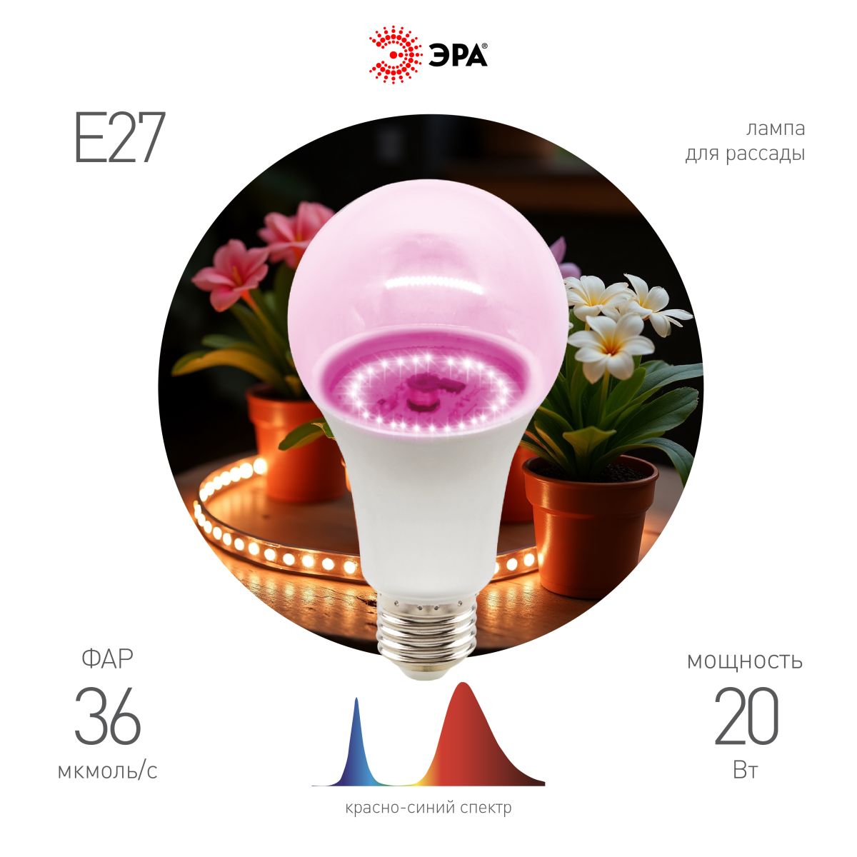 Фитолампа для растений Эра ФИТО A65-20W-PL-E27-GR Б0068597 в #REGION_NAME_DECLINE_PP#