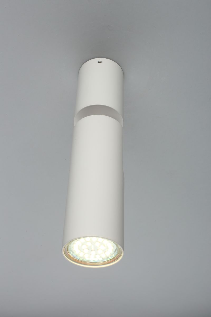 Настенно-потолочный светильник Aployt Berenis APL.007.02.01 в #REGION_NAME_DECLINE_PP#